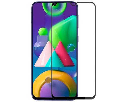 Защитное стекло Full screen PowerPlant для Samsung Galaxy M21 2020 (M215F)